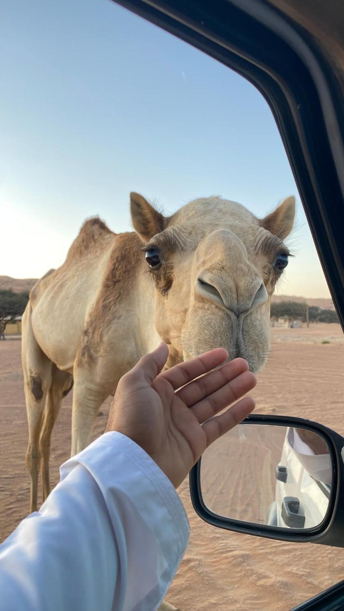 Essa Camp Hotel Al Raka Luaran gambar