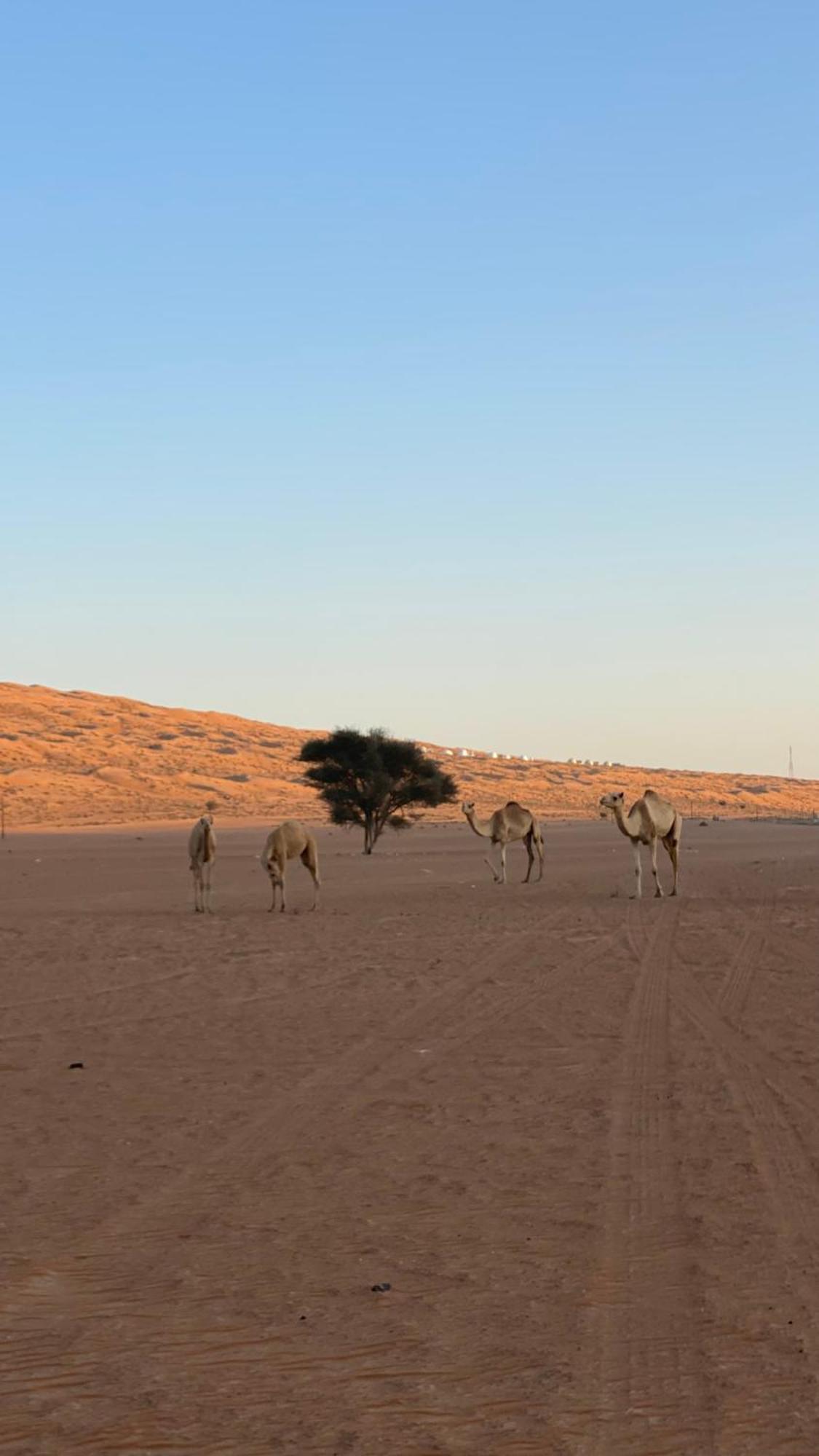 Essa Camp Hotel Al Raka Luaran gambar